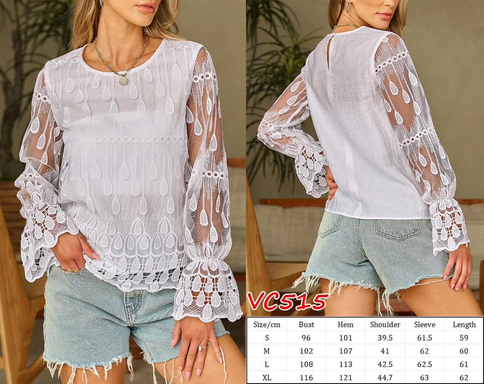 Flounce Sleeve Lace Blouse  | VC515